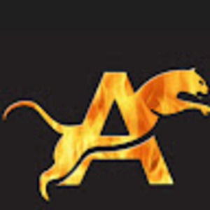 Meet your Posher, Alan